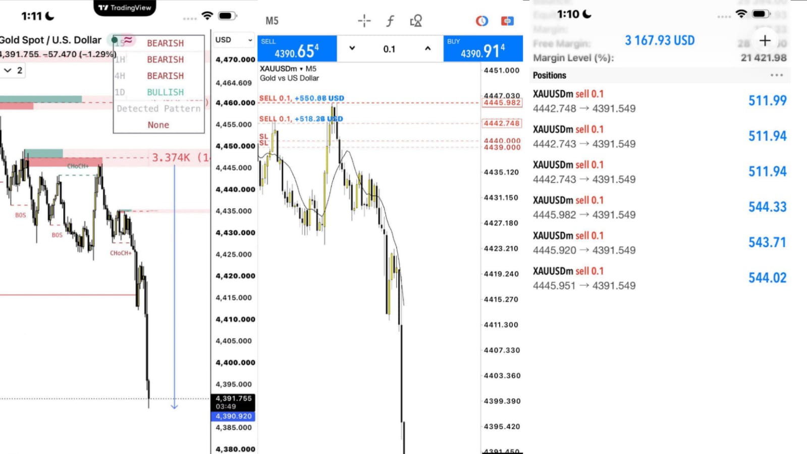 WORLD OF FOREX
