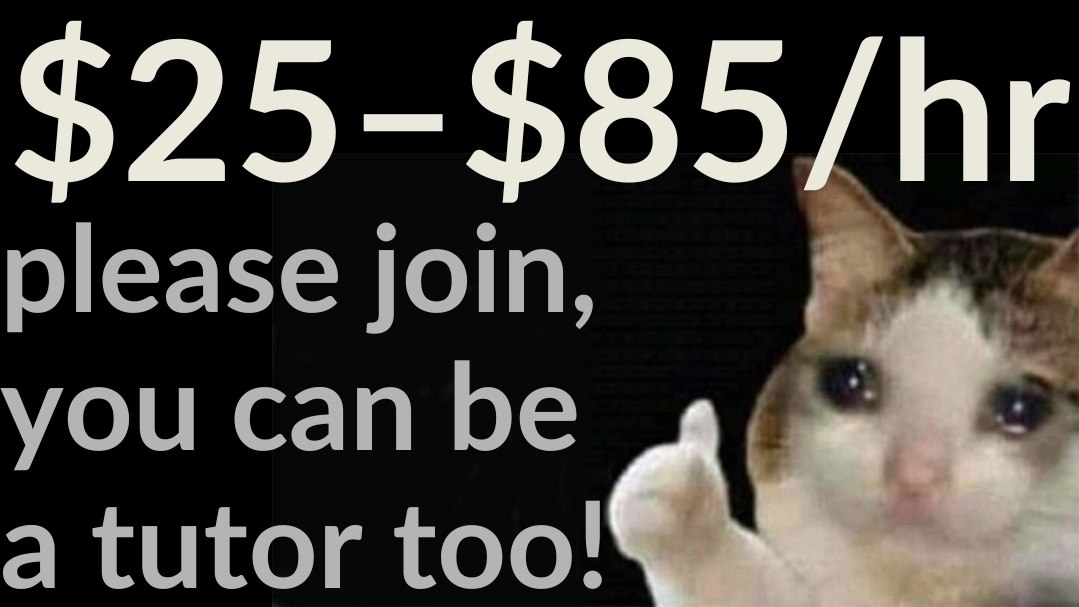 Tuition Job (LittleWiser)