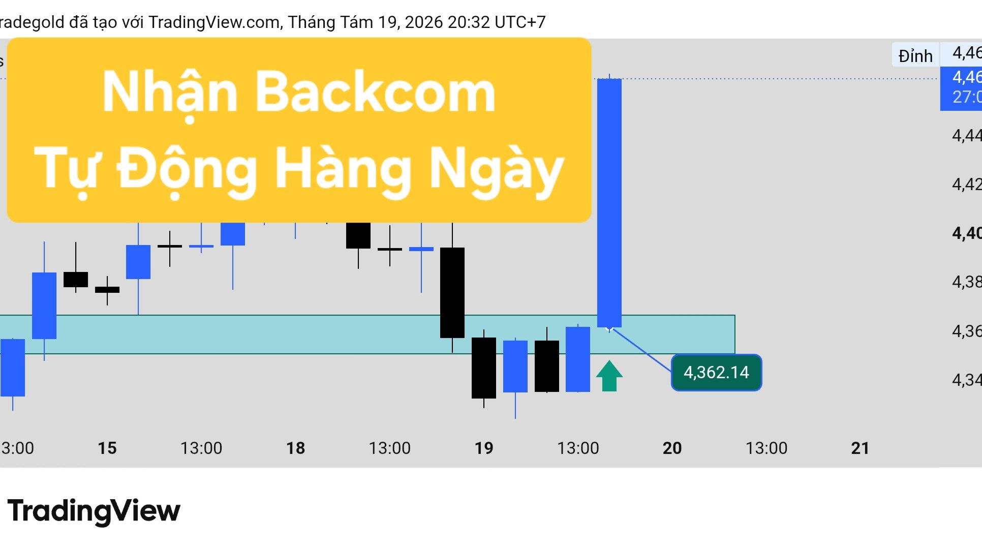 ALY TRADE GOLD