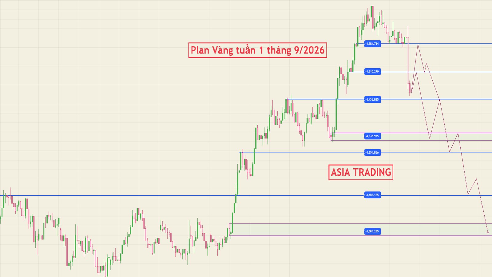 ASIA TRADING🇻🇳