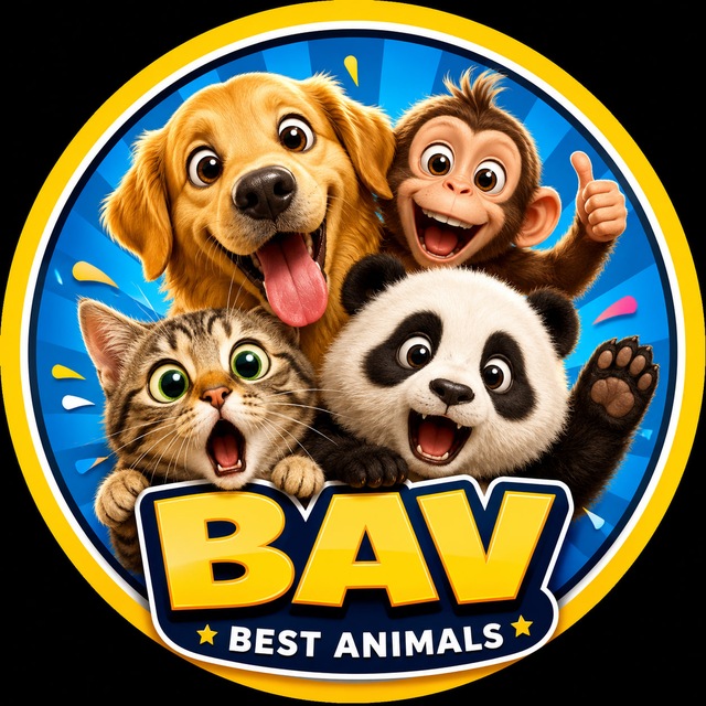 @bestanimalsvideos