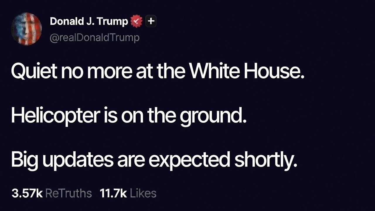 QTheWhiteHats