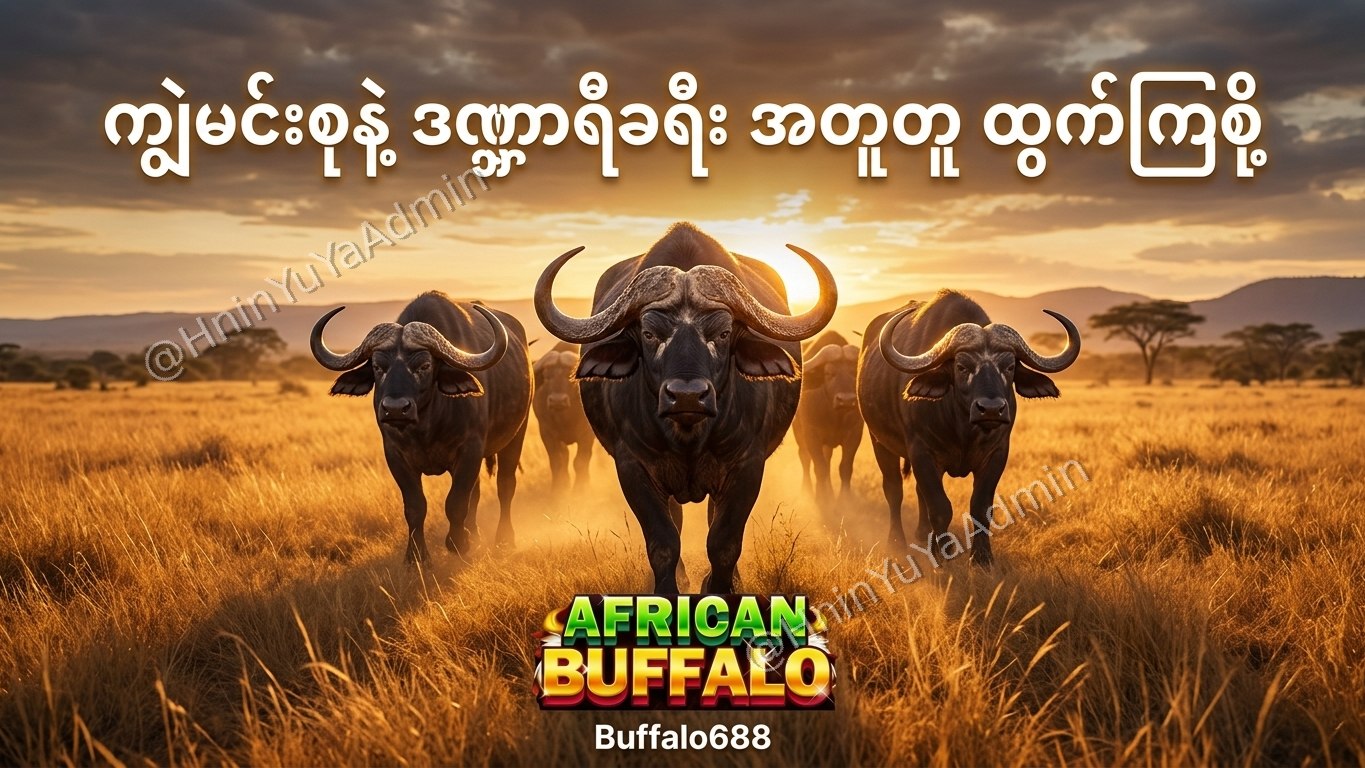 ကျွဲဂိမ်းအစစ် Buffalo688 ၊ကျွဲဘုရင် ၊ရှမ်းကိုးမီး၊ဘူကြီး