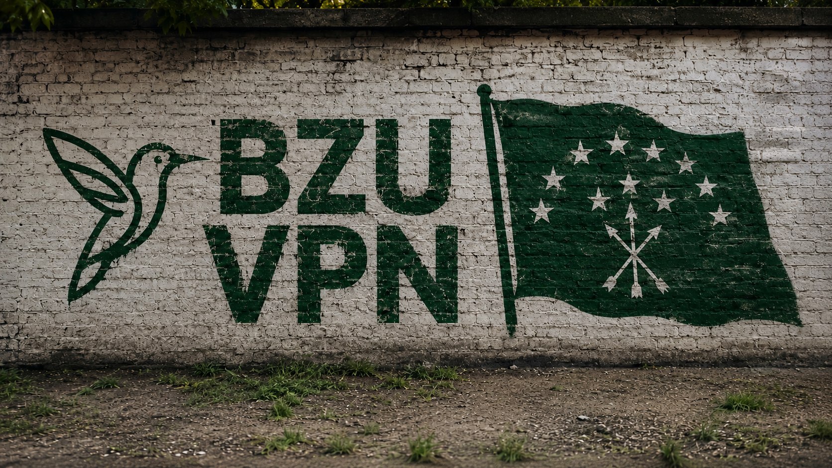 BZU VPN