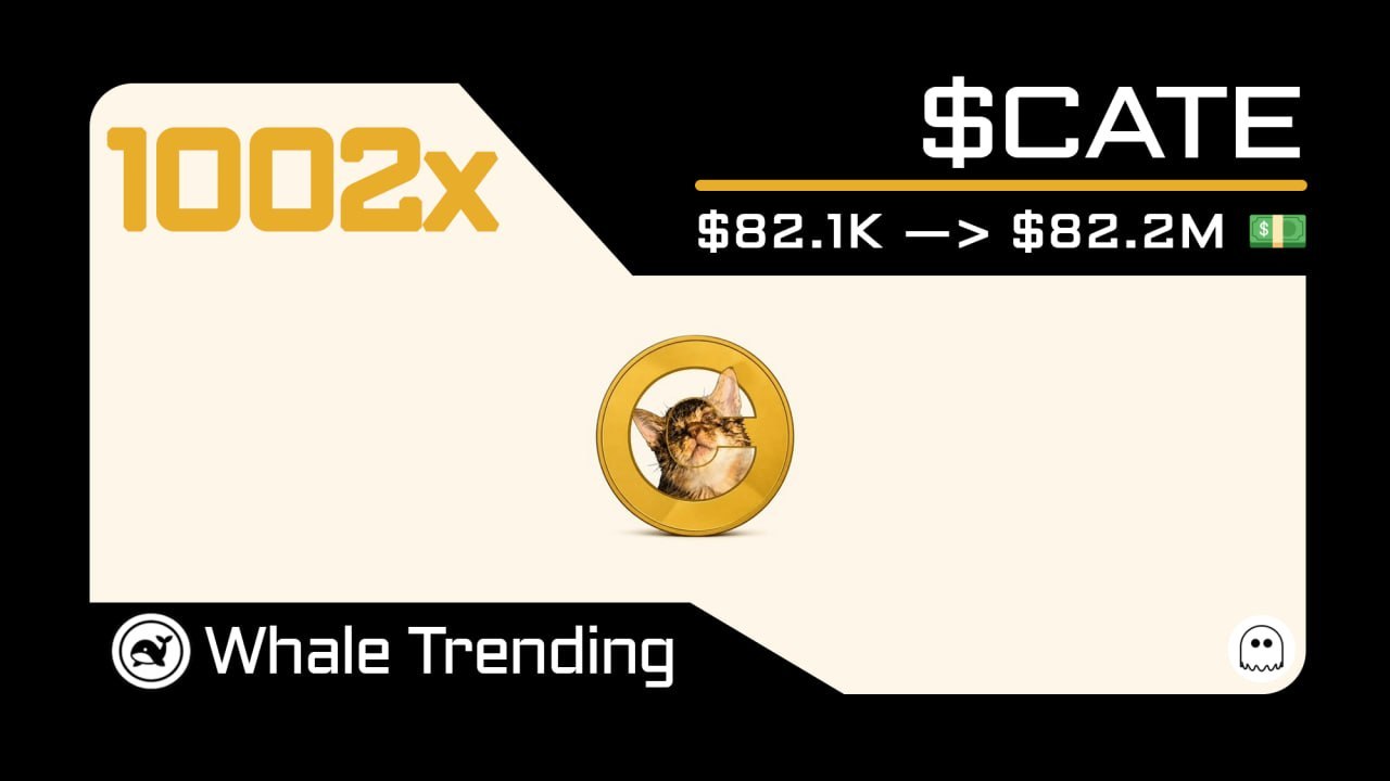 Whale Trending 🐳💵
