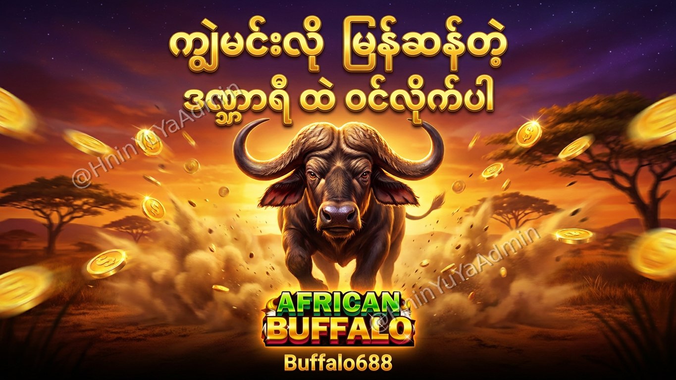 ကျွဲဂိမ်းအစစ် Buffalo688 ၊ကျွဲဘုရင် ၊​ရှမ်းကိုးမီး၊ဘူကြီး