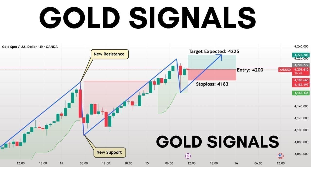 DAILY GOLD SIGNALS