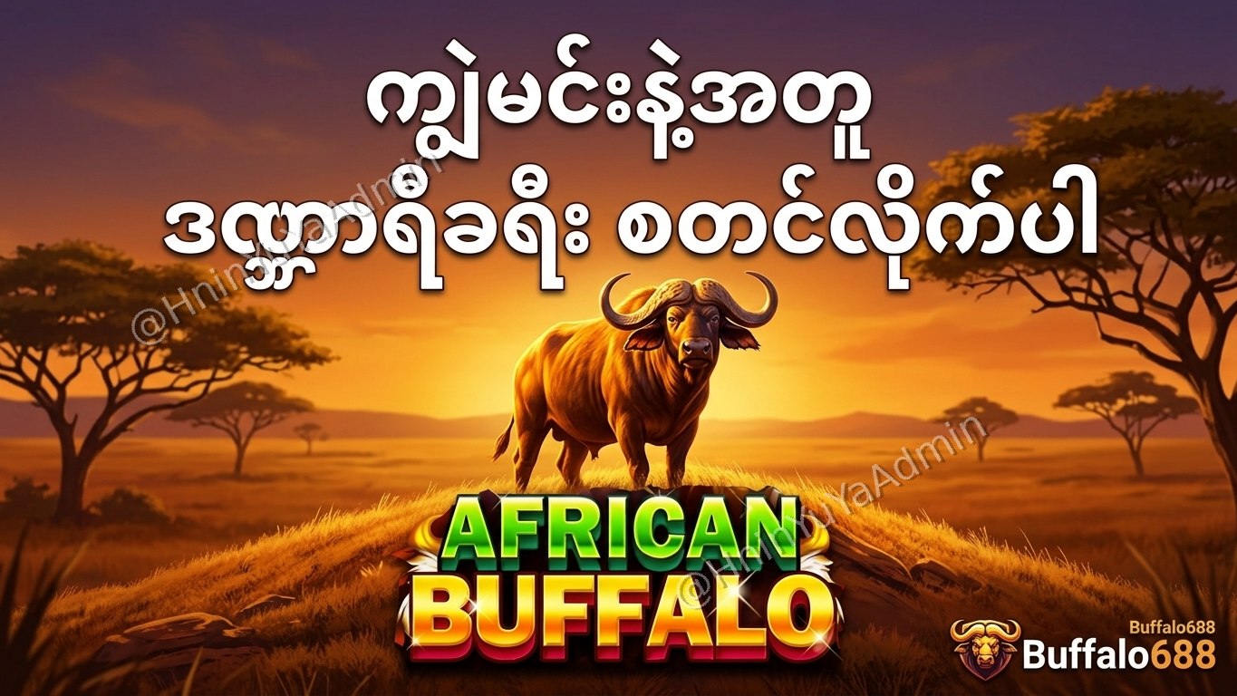 ကျွဲဂိမ်းအစစ် Buffalo688 ၊ကျွဲဘုရင် ၊ရှမ်းကိုးမီး၊ဘူကြီး