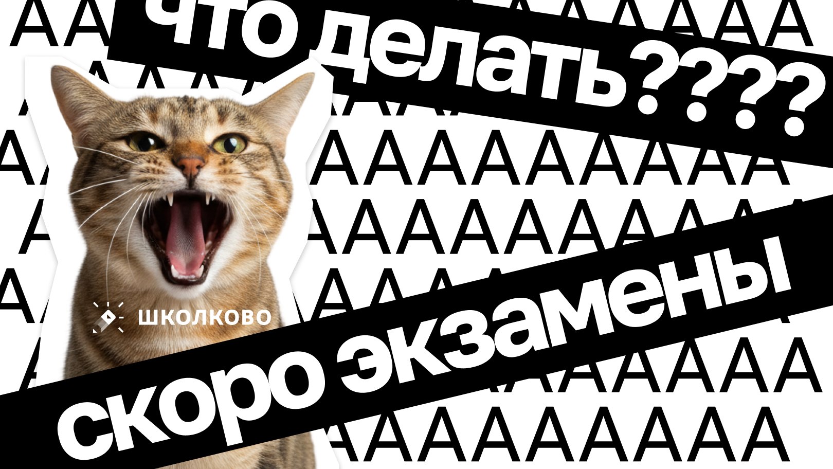 Химия и Биология Мутаген Школково