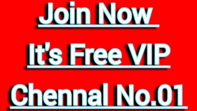 Vinbull Acedmy Official