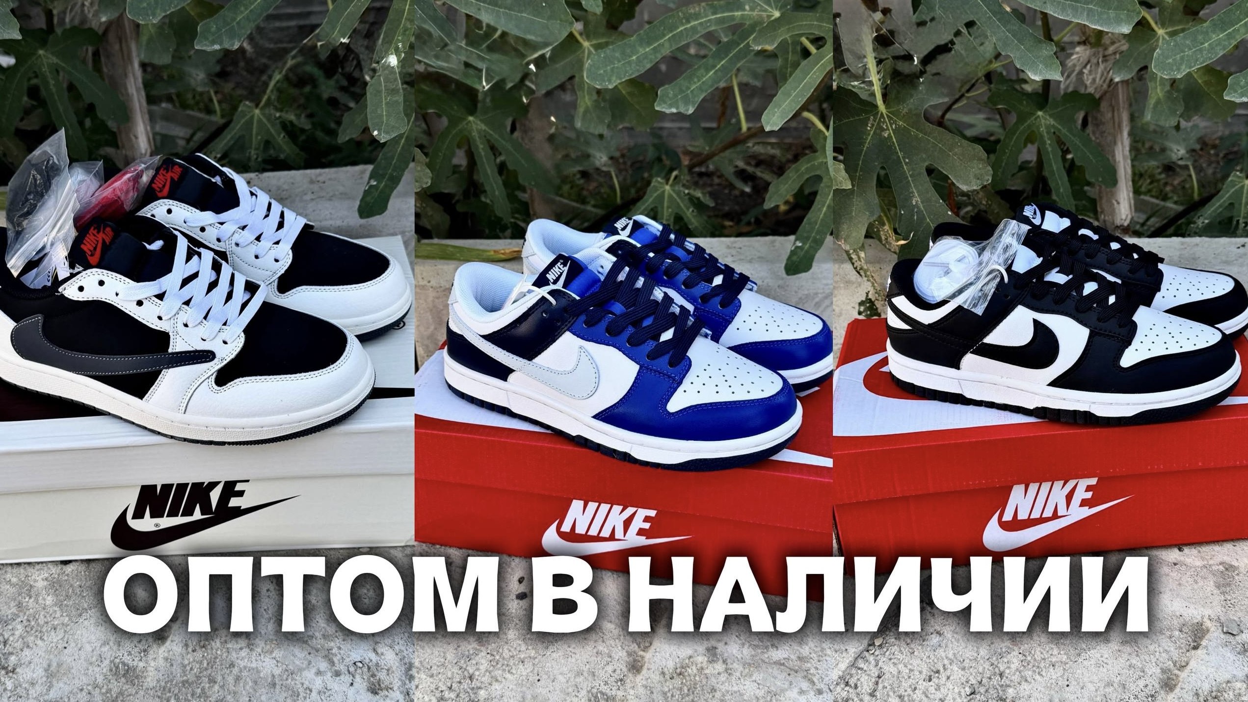 Xxstore.opt