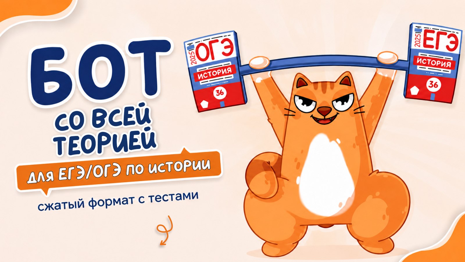 история и котики / ЕГЭ ОГЭ 2027 стадикэтс иик