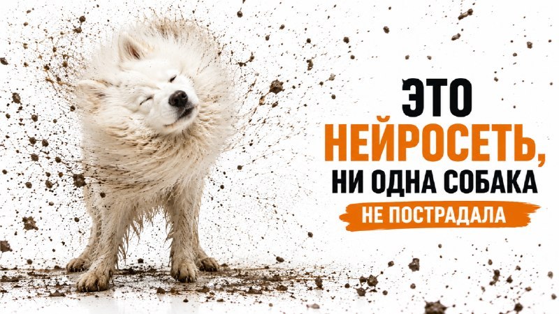 Доход на нейросетях