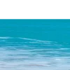 🌊