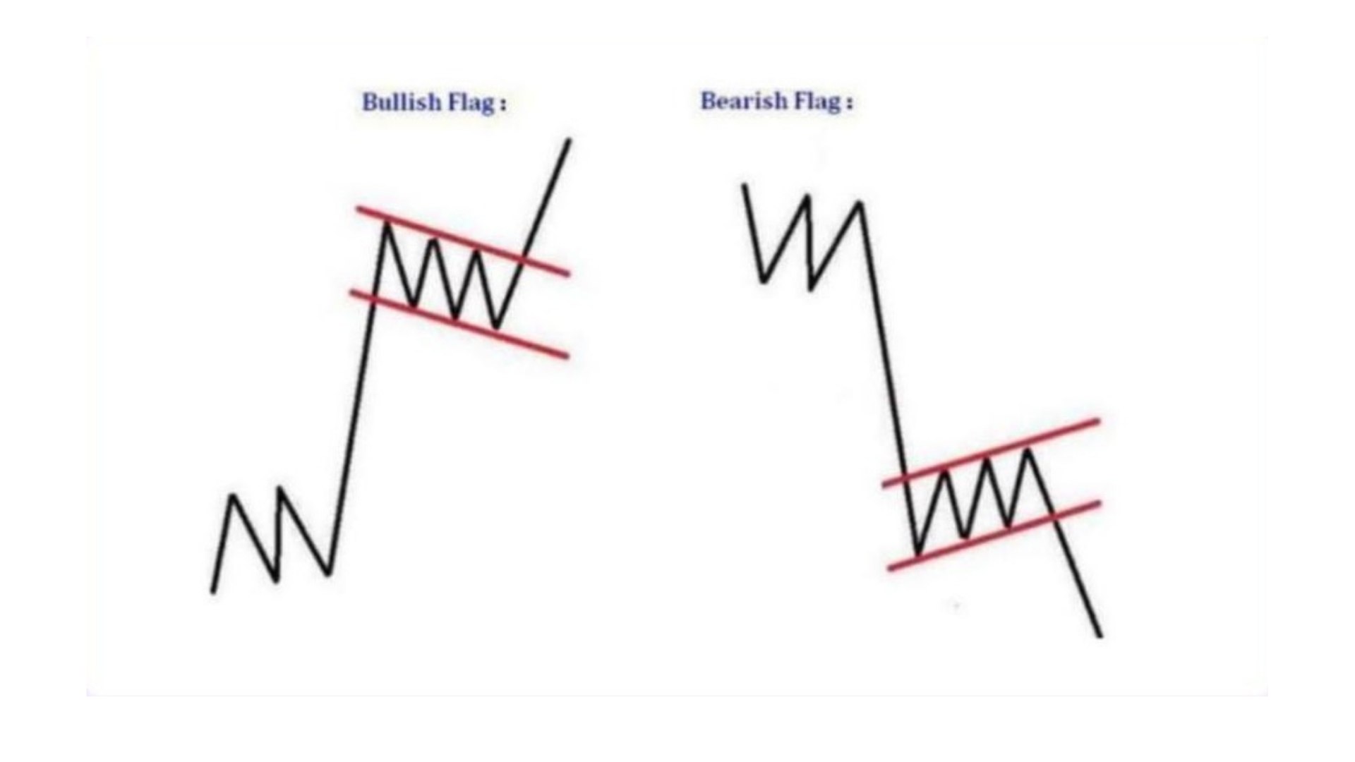 Along Gold Scalper
