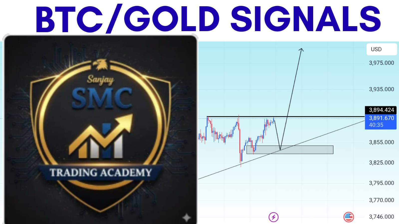 𝗧𝗿𝗮𝗱𝗶𝗻𝗴 𝗜𝗻𝘀𝗶𝗴𝗵𝘁 𝗛𝘂𝗯