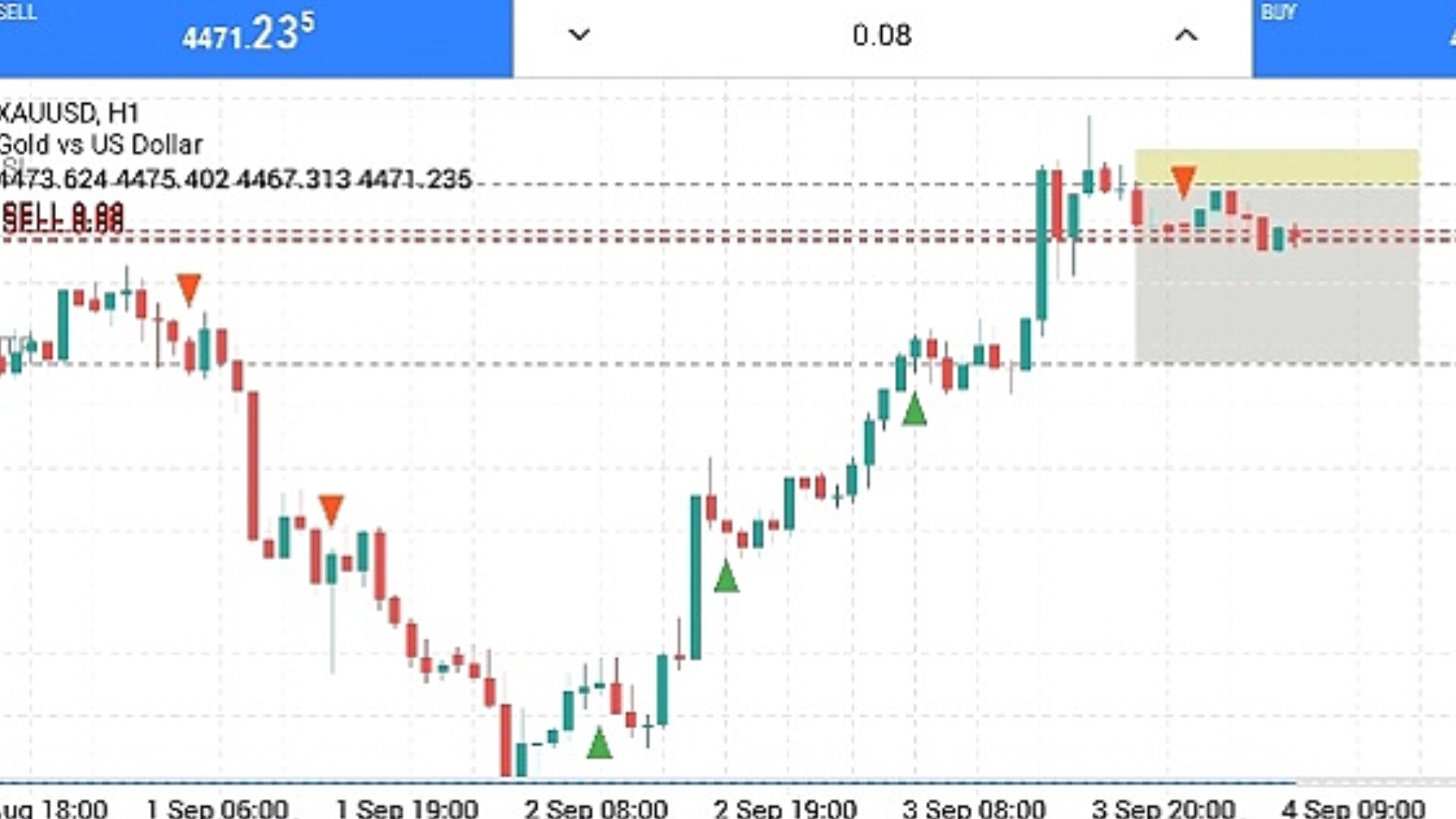 Algo Fx insight